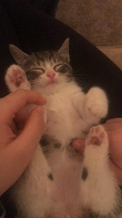 ellie